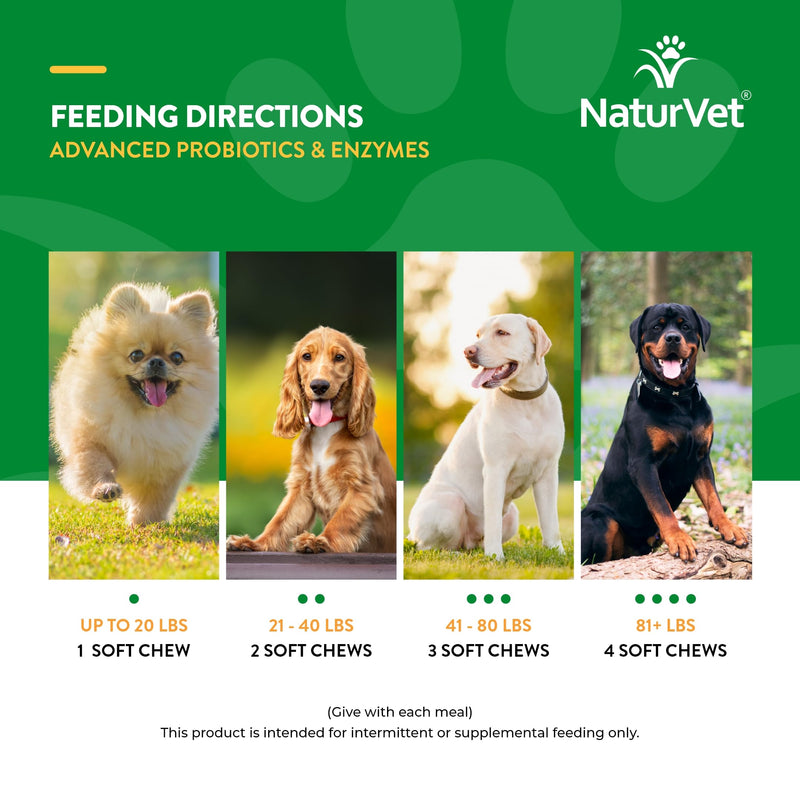 NaturVet Advanced Probiotics & Enzymes, PB6 Dog Soft Chews to Help Sensitive Stomachs and Digestive Issues, Hickory Smoked Bacon Flavored Pet Supplement for Dogs Over 6 Weeks, 70 Count Jar 70 Soft Chews