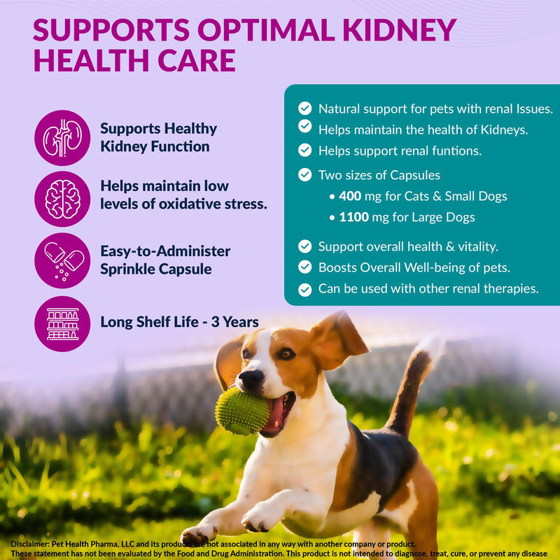 Aminodyl™ Kidney Support Supplement 1100mg for Dogs - Supports Natural Kidney Function with Amino Vastly Promotes Health, Wellbeing & Vitality of Kidneys 120 Sprinkle Capsules. Made in U.S.A Dogs >20lbs (120 Caps) 1100mg