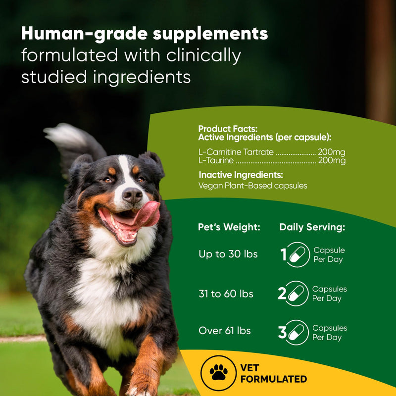 Cardio Support - L-Taurine and L-Carnitine Supplement for Dogs - Cardiovascular and Heart Health Supplements for Dogs - 60/ct Cardio Support
