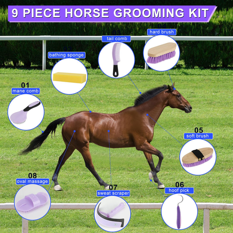 9 Pieces Horse Grooming Kits, Horse Brush Set with Tote Bag, Horse Bathing Supplies Sweat Scraper Bathing Sponge, Hoof Pick, Curry Comb for Horse Riders Beginners(Purple) Purple - BeesActive Australia