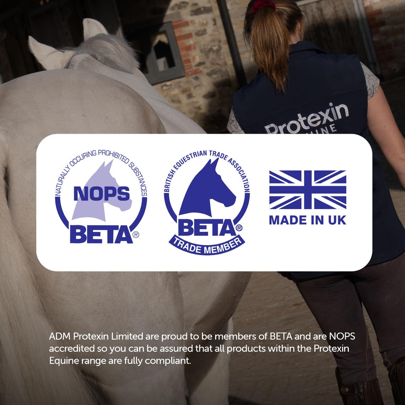Protexin Equine Horse & Pony Gut Balancer, 400g, Advanced Digestive Support Single