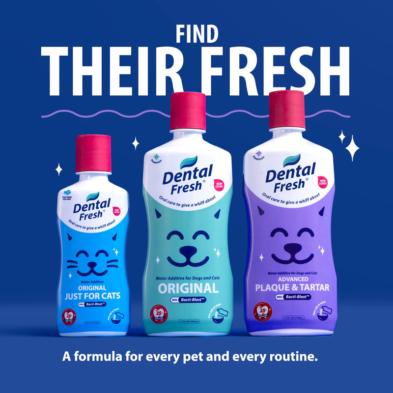 Dental Fresh – Advanced Plaque & Tartar Support Water Additive for Dogs & Cats – Helps Freshen Breath and Clean Teeth Without Brushing – 17 fl oz 17 Fl Oz (Pack of 1)