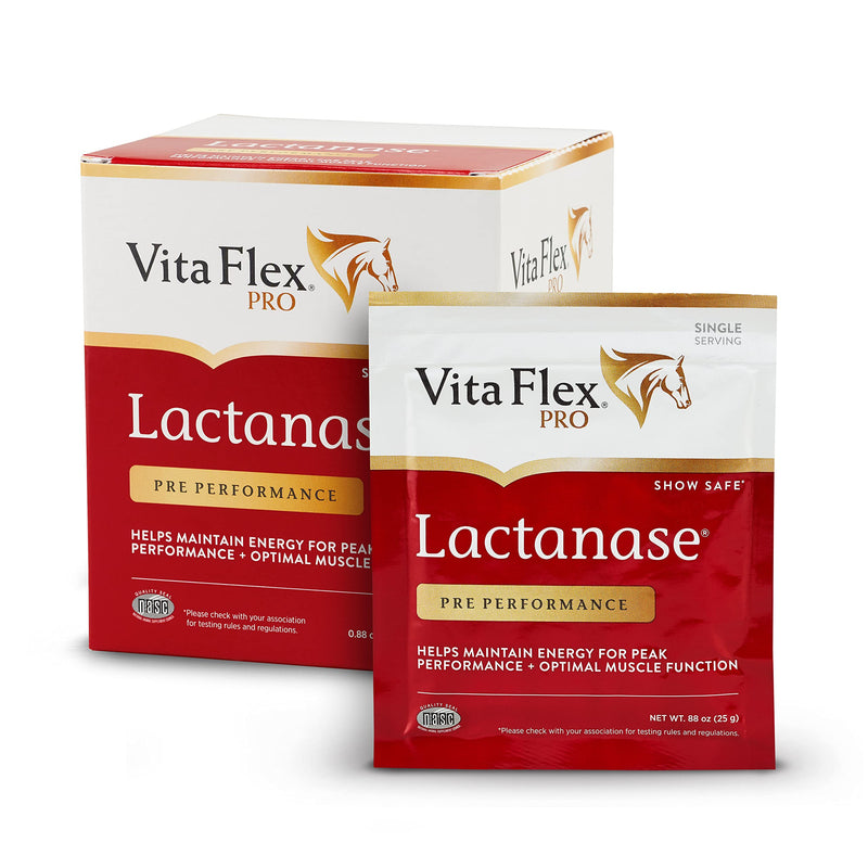 Pro Horse Lactanase Pre Performance Supplement, Show Safe, Single Serve Packet - BeesActive Australia