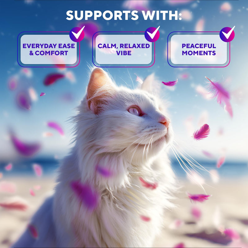 Beloved Pets Cat Calming Diffuser & Pet Anti Anxiety Products - Feline Calm Pheromones Plug in & Cats Stress Relief Comfort Helps with Pee, New Zone, Aggression (2 Pack (2 Diffusers + 2 Refills)) (2 Pack (2 Diffusers + 2 Refills))