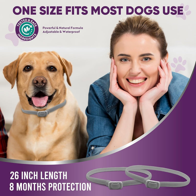 Flea Collar for Dogs 2 Pack 16 Months Protection Natural Flea and Tick Prevention for Dogs, One Size Fits for All Dog Flea Collar - BeesActive Australia