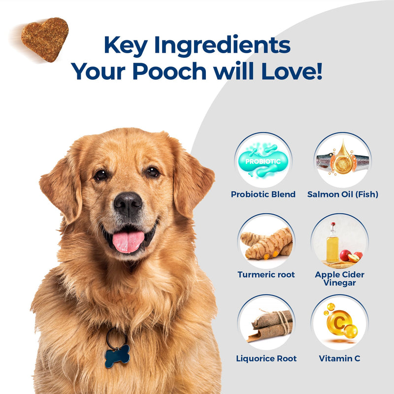 Skin & Immune Support Chews For Dogs | Supports Seasonal Itching, Licking, Scratching | Help Protect and Hydrate the Skin | 120 Servings | All Dog Breeds and Sizes
