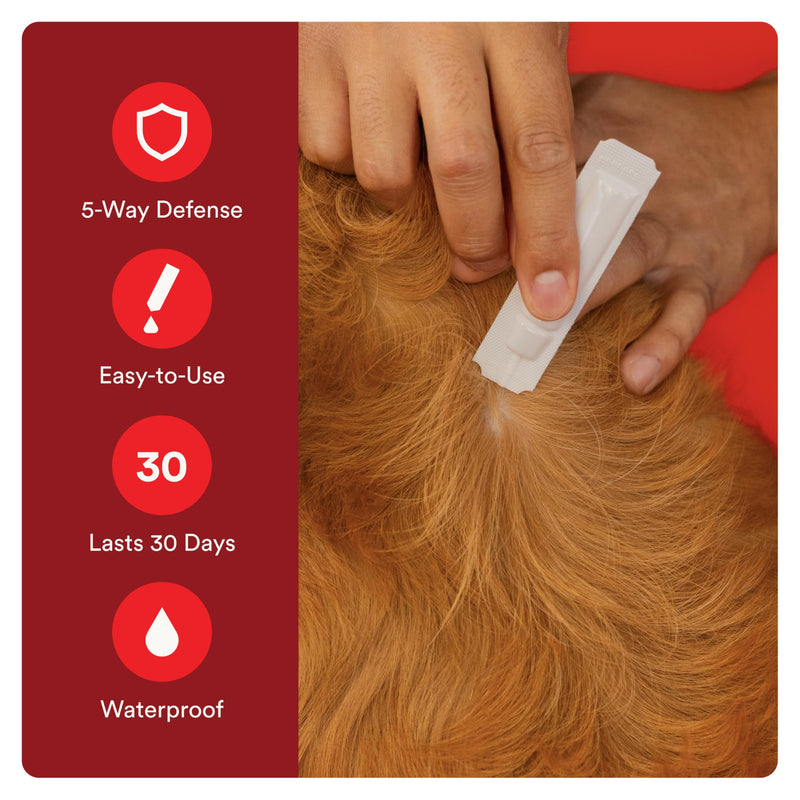Worm X Plus 7 Way DeWormer for Large Dogs Over 25 lbs (6 Count) + ADVECTA Flea and Tick Prevention for Large Dogs 21-55 lbs (4 Count) Bundle