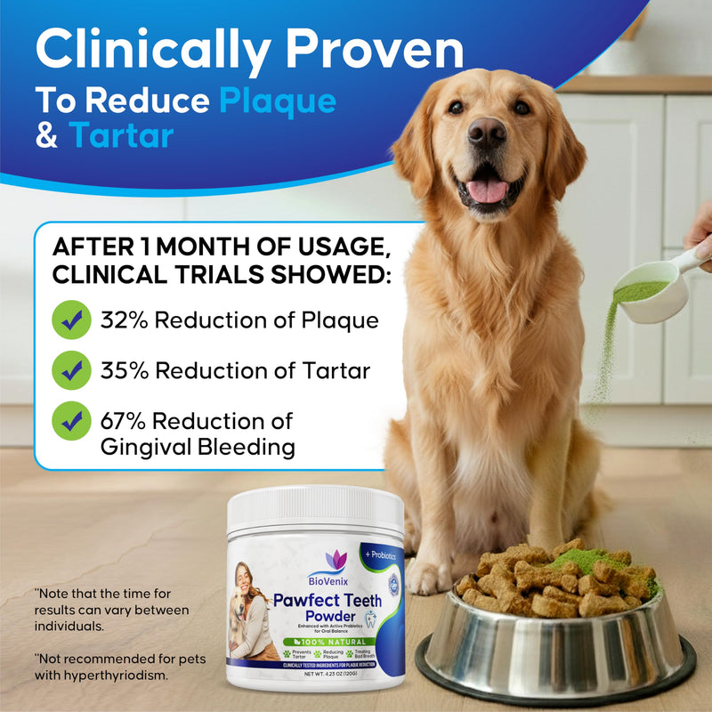 Plaque Control Powder for Dogs & Cats/Pet Teeth Cleaning Supplements/Natural Breath Freshener Food Topper/Daily oral Hygiene Support / 120g / No Toothbrush or Toothpaste Needed