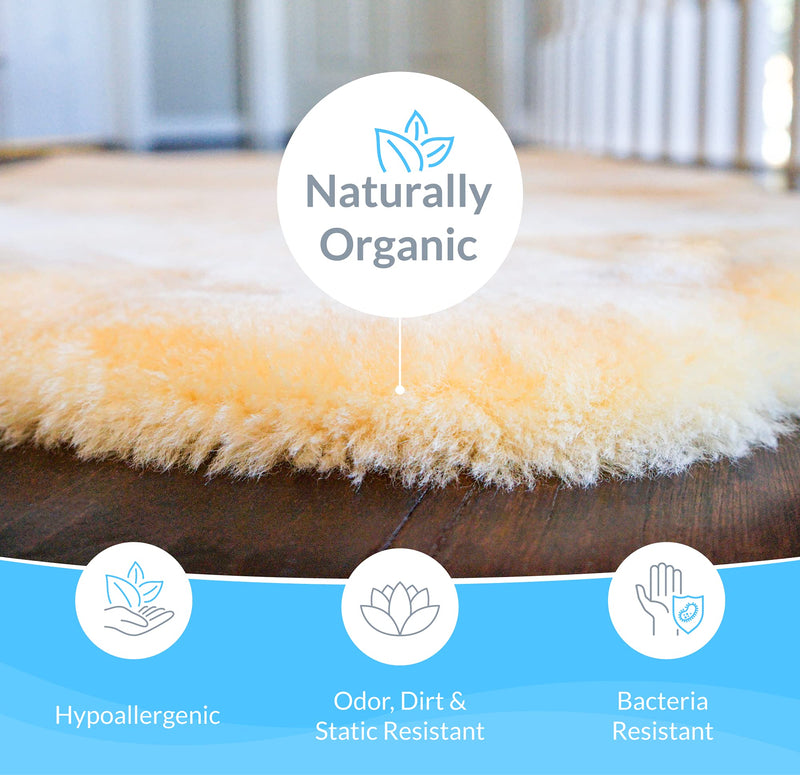 Sheepskin Ranch Sofsheep Medical Sheepskin Heel Protector, Pressure Relief for Bed Sores, Ulcers, Sensitive Skin, Hospital Grade, Chrome Free, Washable, Hypoallergenic, Adjustable, Real Wool, Single