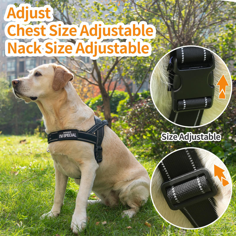 Eeyfarog No Pull Dog Harness for Small Medium Dogs, Reflective Escape-Proof Adjustable without Pull, Dog Harness (Green, L) Green - BeesActive Australia