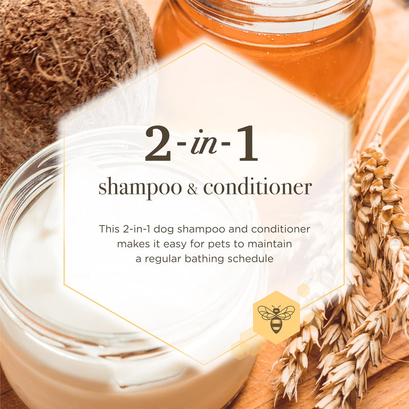 Burt's Bees for Pets Milk and Honey Shampoo and Conditioner for Dogs, Naturally Derived Ingredients, Cruelty Free, Formulated without Sulfates and Parabens, pH Balanced for Dogs, 12 Fl Oz Milk & Honey 12 Fl Oz (Pack of 1) - BeesActive Australia