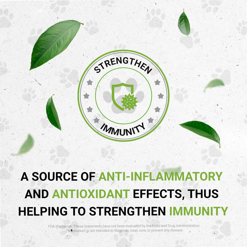 Wolf's Respiratory | Natural Herbal Dietary Supplement | Healthy Respiratory System Support in Dogs | Alcohol-Free Extract, Marshmallow Leaf, Astragalus, Chamomile, Calendula, Oregon Grape 2 oz - PawsPlanet Australia