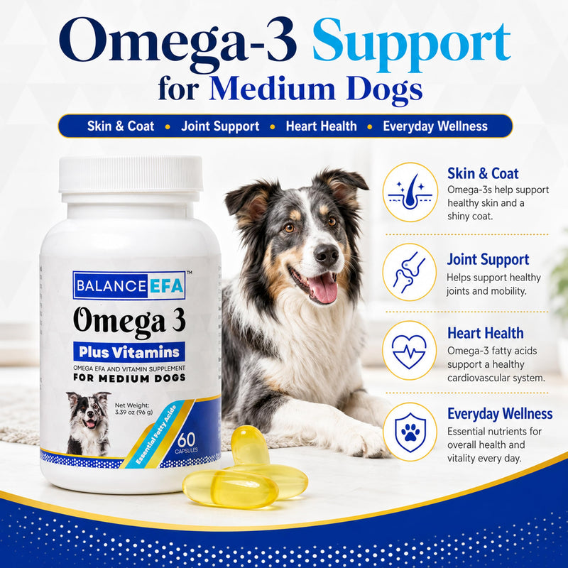 BalanceEFA Omega 3 Fish Oil for Dogs, Skin & Coat, Medium Breed 60 Ct | Fish Oil Capsules with EPA & DHA, Vitamins A, D3 & E, Supports Healthy Skin, Coat & Joints, Vet Formulated Medium - 60 count