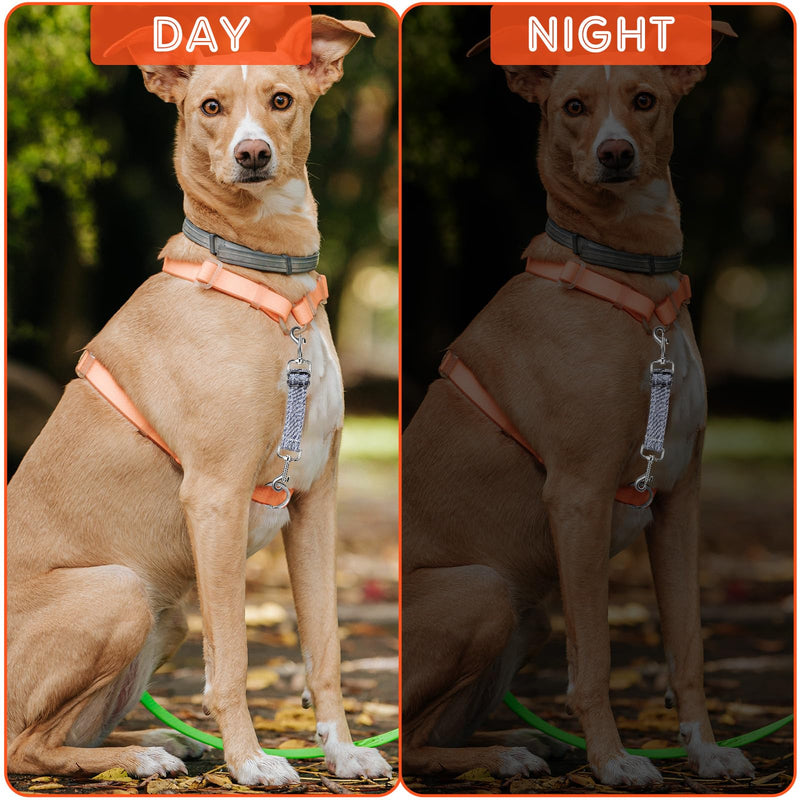Short Guide Dog Pack of 2 Dog Leash Short Dog Collar Clips Adjustable Pet Puppy Collar Nylon Dog Safety Lock Clip Harness Connector Double Sided Dog Safety Lock Clip - BeesActive Australia