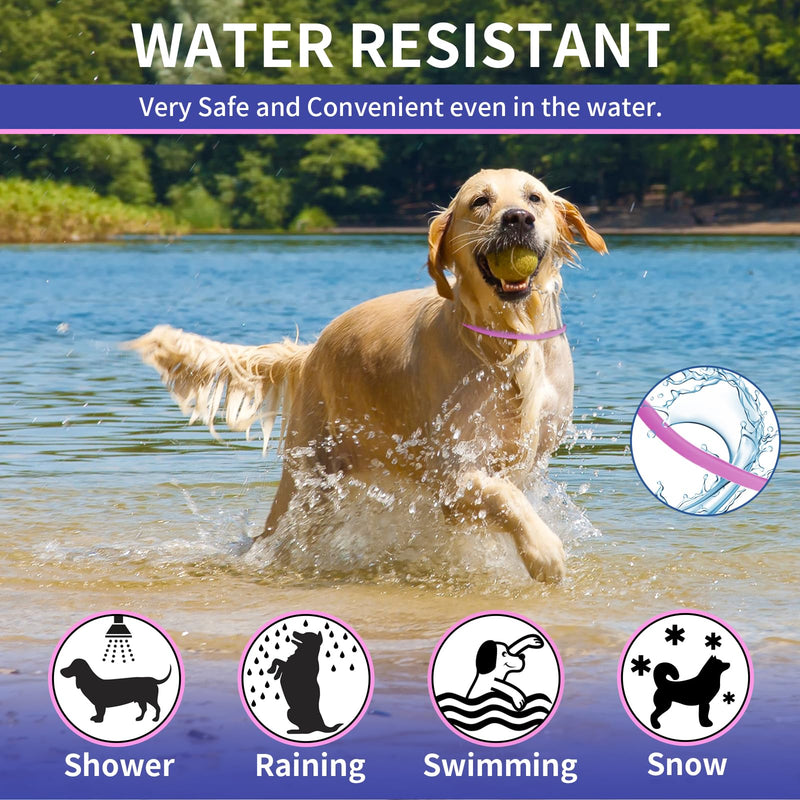 YOTANGO 4 Pack Flea Collar for Dogs, Dog Flea Collar Waterproof, 32 Months Prevention, Dog Fleas and Tick Treatment, Adjustable Fleas and Tick Protection for Dogs Puppy(Blue & Pink)