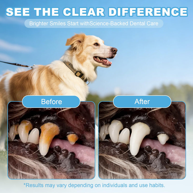 Dog Dental Powder for Teeth Cleaning & Fresh Breath - Reduce Pet Plaque & Tartar Remover Made Easy Supply for All Breeds Chicken Flavor
