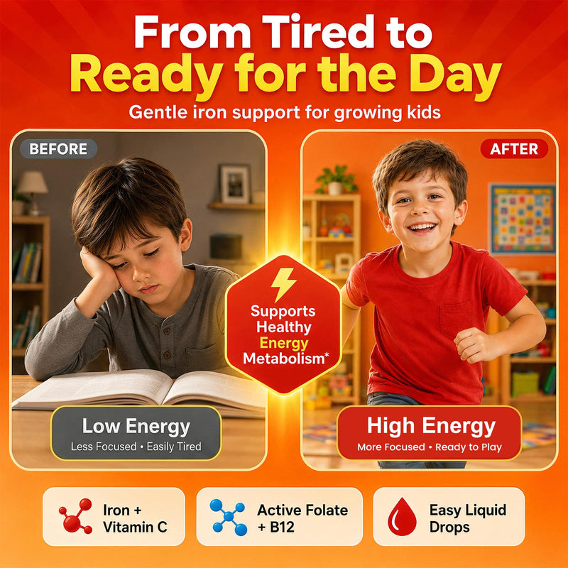 Iron Supplements for Kids Ages 4+, Liquid Iron Drops with Ferrous Bisglycinate, Vitamin C, Active Folate, B12, Zinc & Glycine, Kids Multivitamin with Iron, No Added Sugar, Strawberry Flavor, 4 Fl Oz 2 Fl Oz (Pack of 2)