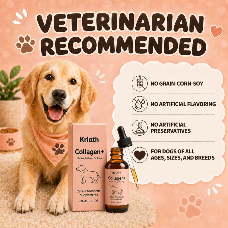 Collagen for Dogs, 60ml Dog Hydrolysed Liquid Collagen Supplement for Daily Nutrition – Skin & Coat Support