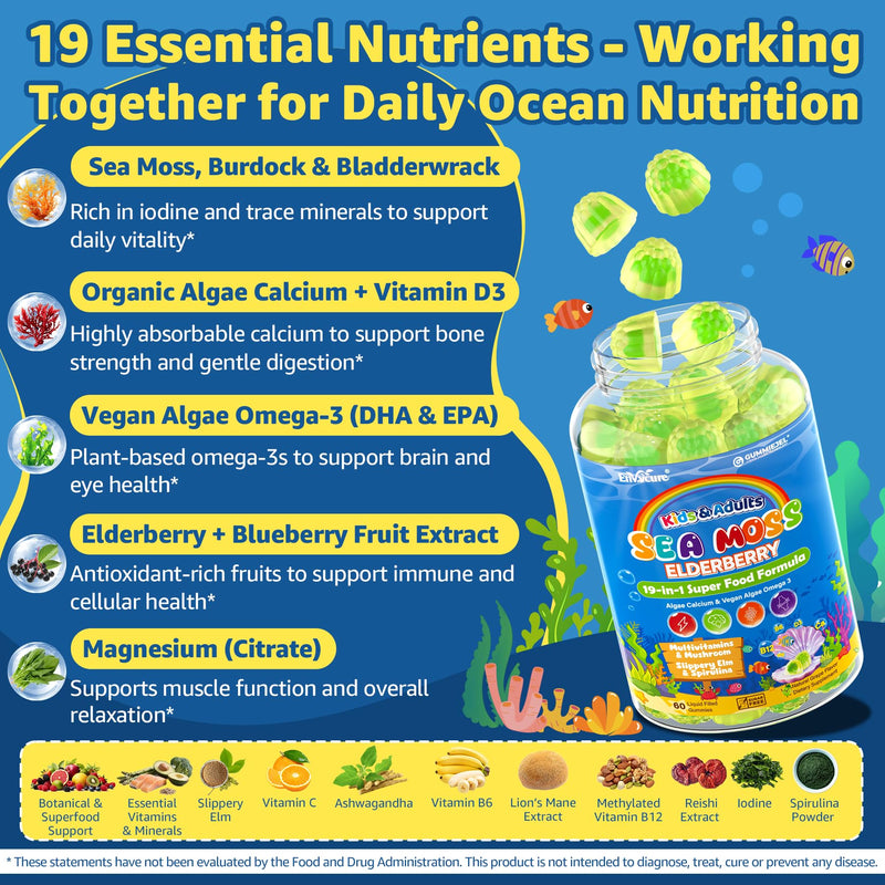 2pack Sea Moss Gummies for Kids & Adults, 19-IN-1 Super Food with Elderberry, Spirulina, Algae Omega 3, Algae Calcium, Ashwagandha, Mushroom, Vitamins D3, C for Immune, Gut, Bone, Energy, Brain, Vegan 60 Count (Pack of 2)