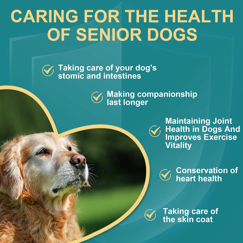 Joint Supplment for Dogs | Dog Joint Supplements for senior dogs to Reduce Stiffness, Improve Mobility with Hemp Seed Oil, Turmeric, Glucosamine, Chondroitin, Green Lipped Mussel For Dogs Beef