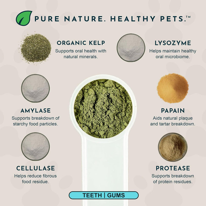 Animal Essentials SeaDent for Dogs - Kelp and Enzymes Plaque, Tartar Control Formula, Alpha Beta Amylase, Cellulase, Marshmallow Root, Slippery Elm Inner Bark, All Natural - 2.5 Oz (Pack of 1) - BeesActive Australia