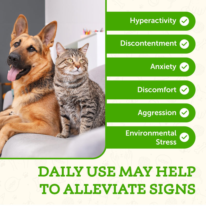 Animal Essentials Comfort Plus for Dogs & Cats - Calming Liquid, Pet Calming Drops, Herbal Formula, California Poppy, Skullcap - 2 Fl Oz - PawsPlanet Australia