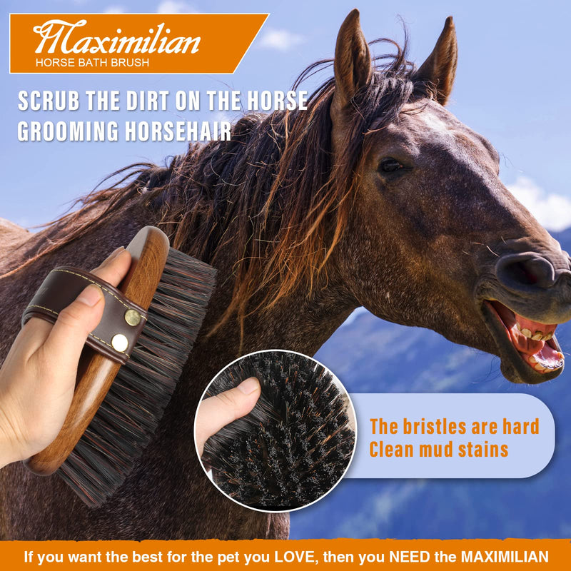 MAXIMILIAN World Class Handmade Equine Stiff Body Horse Brush. Professional Equine Grooming Tools. Effortlessly Removes Mud, Sweat and Dirt from Your Horses Hair. brown - BeesActive Australia