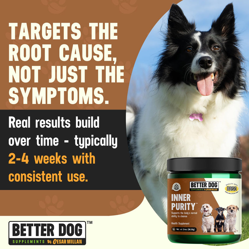 Better Dog Supplements by Cesar Millan® Inner Purity – Natural Digestive, Dewormer & Gut Health Powder for Dogs – Internal Cleanliness, Detox & Bowel Movement Support – 3.4oz, (60-Day Supply)