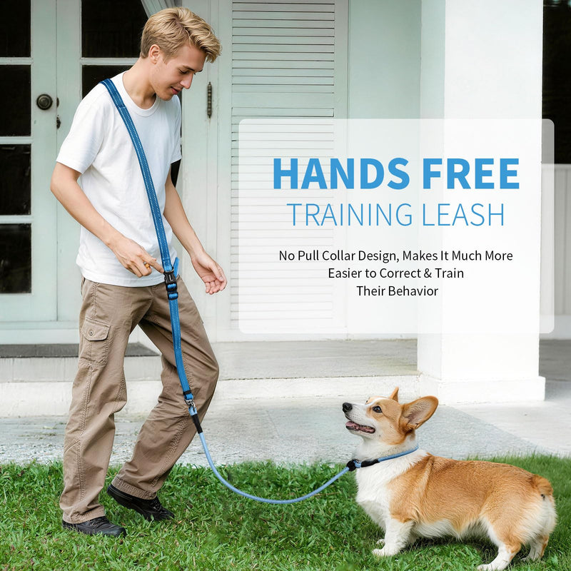 Kazazoo Slip Lead Dog Leash, Hands-Free No Pull Training Leash with Padded Handle for Medium Large Heavy Duty Dogs, Blue Light Blue - BeesActive Australia