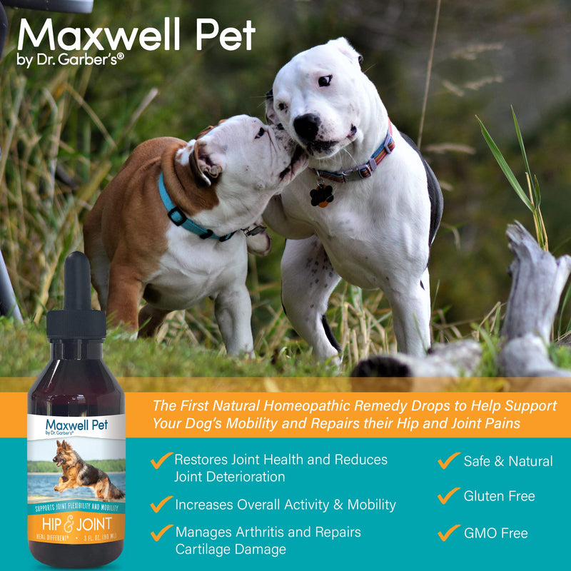 MaxWell Pet by Dr.Garber – Hip & Joint for Dogs - The First Natural Biotherapy Supplement Drops to Support and Restore Hip & Joint Health, Repair and Ease Hip & Joint Pain, & Improve Mobility – 90ml - BeesActive Australia