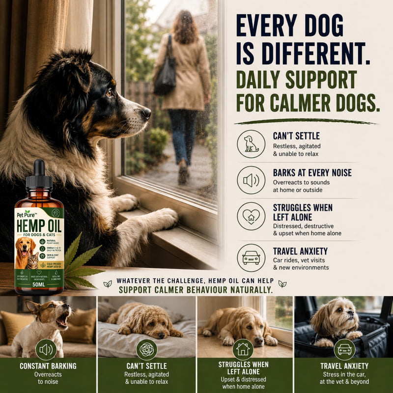 Hemp Oil for Dogs & Cats – Pet Pure™ 50ml – Hemp Oil for Dogs UK – Helps Support Calm Behaviour, Skin, Coat & Joint Health – Plant-Based Omega 3, 6 & 9 Supplement