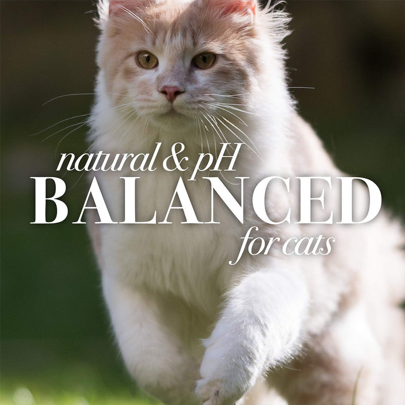Burt's Bees for Pets Naturally Derived Kitten Tearless Shampoo with Buttermilk, Cat Shampoo, Kitten Shampoo for Cats - Cat Grooming Supplies, Cat Bath Supplies, 10 Fl Oz 10 Fl Oz (Pack of 1) - BeesActive Australia