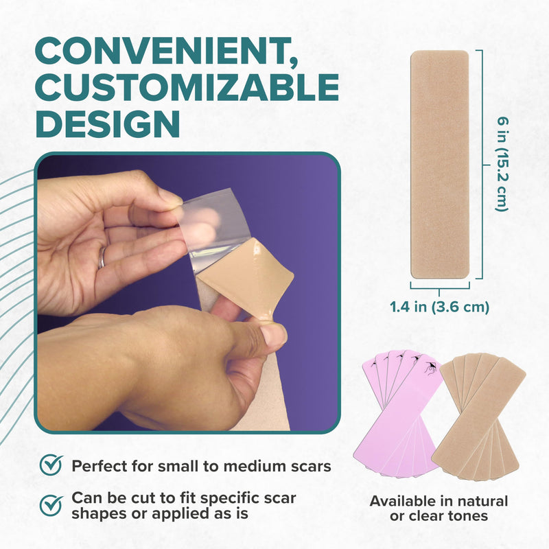 Epiderm Silicone Gel Scar Sheets - Premium-Grade Silicone Scar Sheets for Optimal Scar Care - Versatile, Flexible & Reusable - Ideal for C-Section, Tummy Tuck & Hysterectomy Scars - 1.4x6 in, Natural 1.4x6 Inch (Pack of 1) - BeesActive Australia