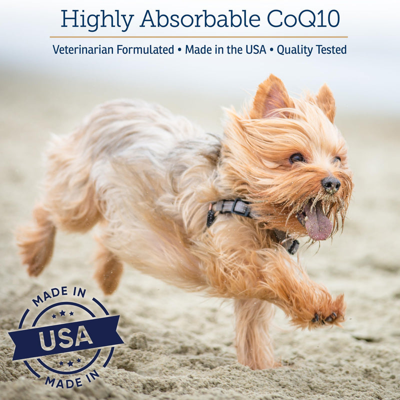 Rx Vitamins CoQ1030 - Coenzyme Q10 for Dogs & Cats - 30ct | 100% Pure Ubiquinone Cat & Dog Heart Supplements - Promotes Cardiovascular Function and Antioxidant Support