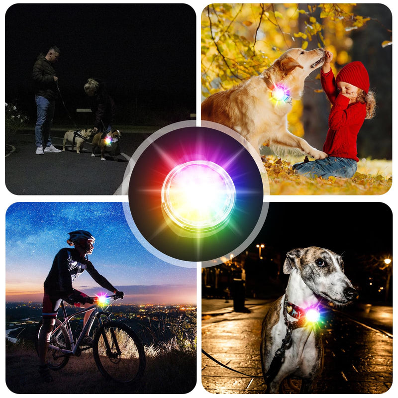 Rechargeable Pet Tag Light, USB Rechargeable LED Night Light Collar Jewelry, Light Pendant Dog Rechargeable, Waterproof Pet Lights Ideal for Nighttime Dog Walks Camping (RGB) RGB - BeesActive Australia