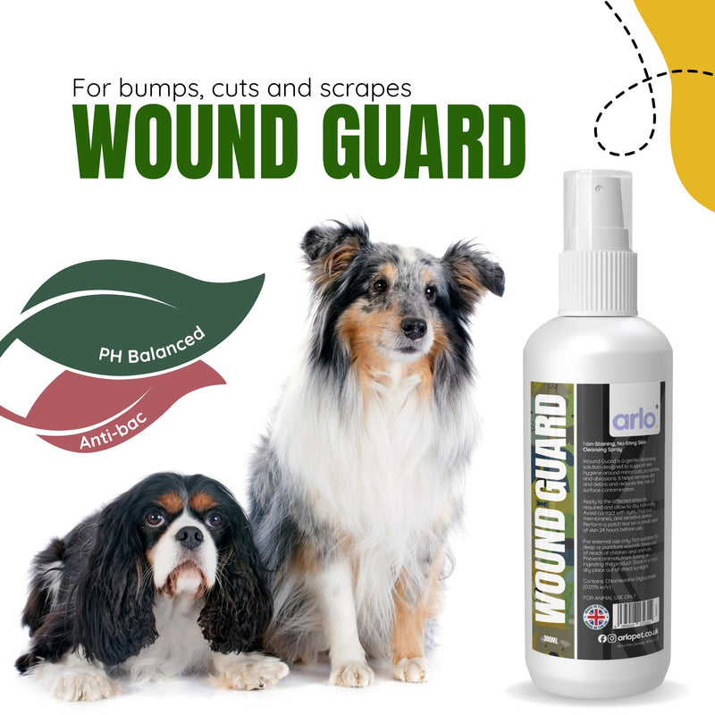 Wound Guard Antibac Skin Spray Non Stain 300ml | Horse, Dog & Cat Skin Cleansing for Minor Cuts, Grazes & Hot Spots | No-Sting Moisture Shield for Irritated Skin | Pet First Aid Formula for Animals 300ml Bottle