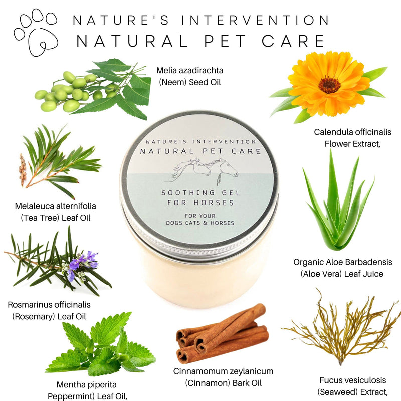Nature's Intervention Soothing Aloe Gel for Horses – 200g – Botanical Skin Shield with Neem, Tea Tree & Mint – High-Performance Equine Protection & Conditioner