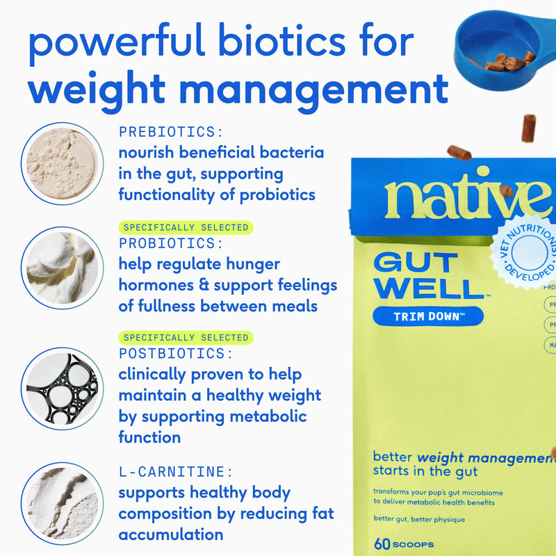 Native Pet Daily Wellness Bundle & Weight Management Dog Food Topper – 11-in-1 Vitamins and Supplements, Omega 3 Fish Oil for Dogs & Weight Loss Supplement for Gut, Skin, Coat, Joint & Immune Support
