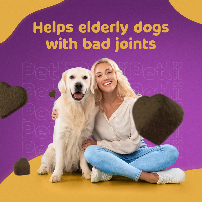 HIP and JOINT CHEWS - Dog Joint Supplements for the maintenance of Cartilage, Hips & Joints. Combines Glucosamine, Chondroitin and MSM in a convenient chew for Senior and Adult dogs - 120 Chews