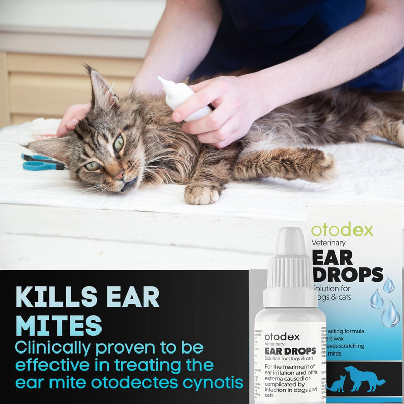 Dog Ear Cleaner | Dog Ear Drops | Ear Drops For Dogs | Ear Mite Treatment For Dogs | Cat & Dog Ear Infection Treatment | Ear Cleaner For Dogs UK | Dog & Cat Itchy Ear Treatment – 2 Packs Sold by UMDA