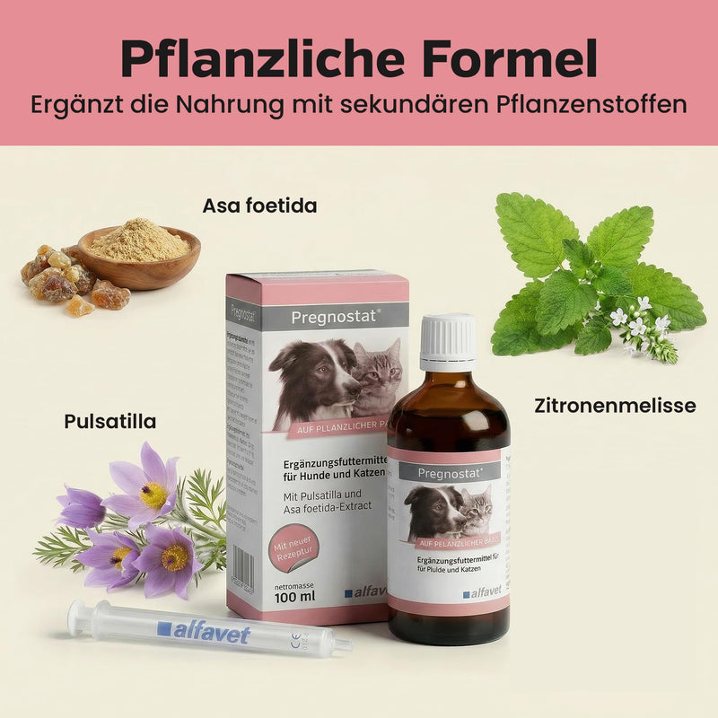 alfavet Pregnostat for Dogs & Cats (100 ml) – Liquid Supplement for Reproductive Support – With Pulsatilla, Melissa & Asa Foetida