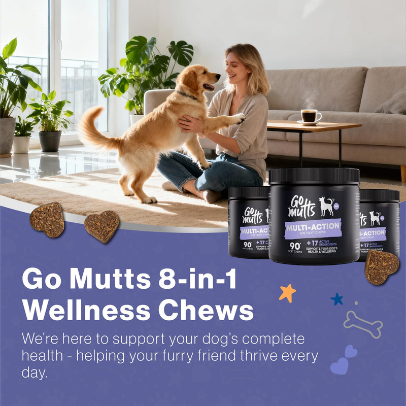 8-in-1 Multivitamin for Dogs, 90 Soft Chews, Dog Vitamins and Supplements for Joint Support, Digestion, Heart,Skin, Coat Care, Multi-Action Daily Supplement for All Breeds 8-in-1 Multivitamin