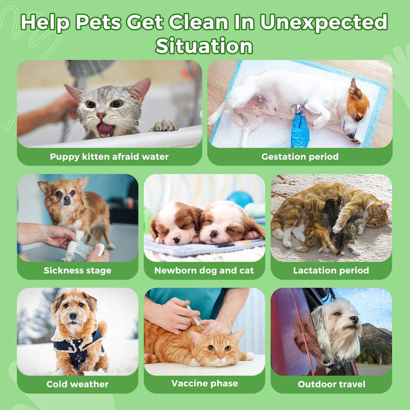 Vannon Extra Thick Pet Bathing Wipes for Dogs & Cats, Cleaning & Odor-Controlling Grooming Gloves, Nourish Fur Glove Wipes for Daily Care and Traveling, Rinse Free, Coconut Scent, 2 Pack, 12 PCS B-Coconut Scent 2pack - PawsPlanet Australia