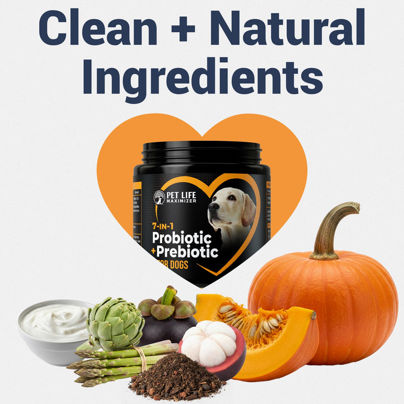 7-in-1 Probiotic + Prebiotic for Dogs. For Digestive Health, Yeast, Itchy Skin, Itchy Ears, Paw Licking. Dog Gut Health Probiotics Supplement 5 Billion CFU Multi-Strain Formula. Daily Powder Topper