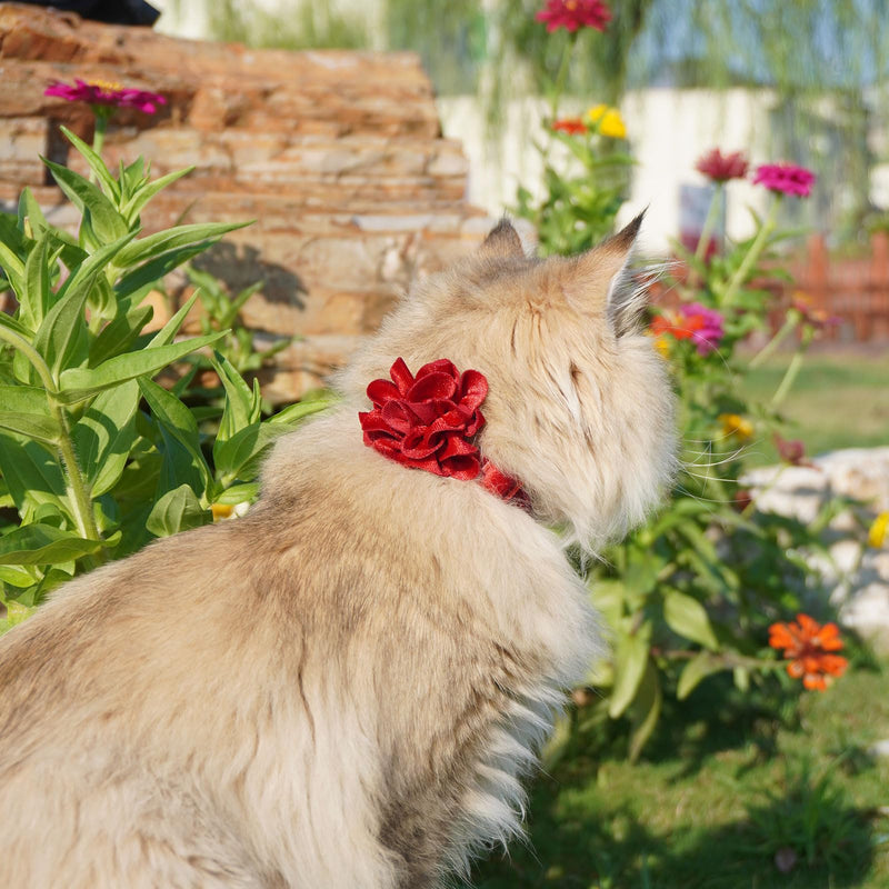 azuza 2 Pack Cat Collar Floral with Bell and Removable Flower Bowtie Breakaway Adjustable Velvet Fabric Cat Collar for Pets Valentine's Day Gift and Daily Decoration，Wine Red & Rose Pink Neck: 8"-12" Wine Red & Rose Pink - BeesActive Australia