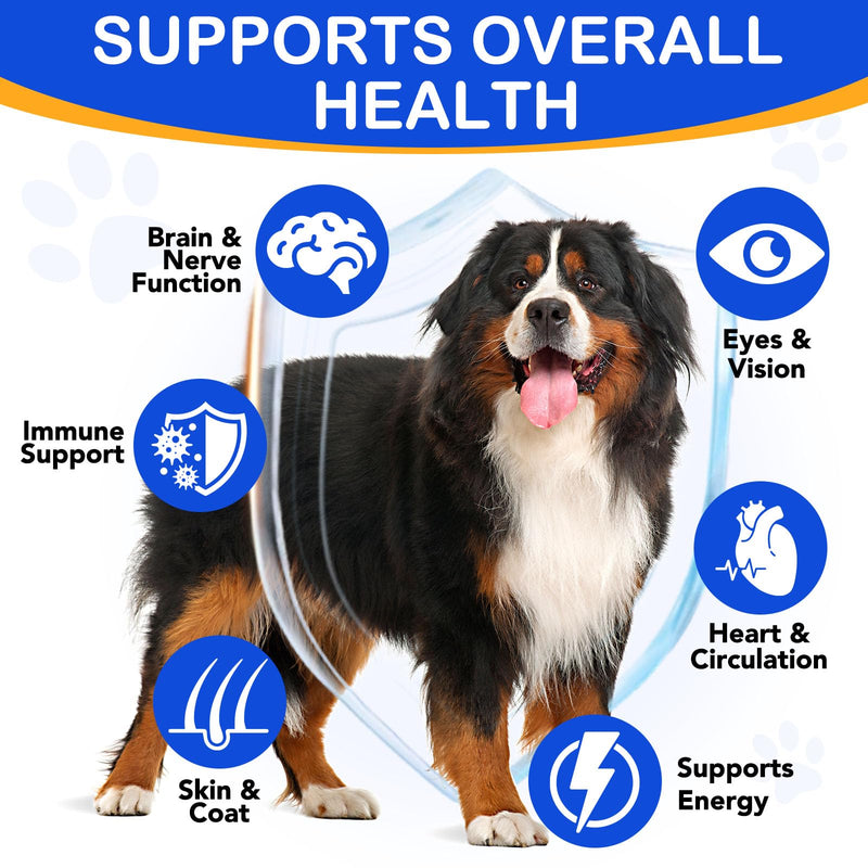 Taurine for Dogs - Taurine Drops for Dog Supports Heart Health, Muscle Function & Daily Vitality Immune System - Liquid Amino Acid Supplement - Pet Wellness Formula for All Breeds Dogs - 2 fl oz