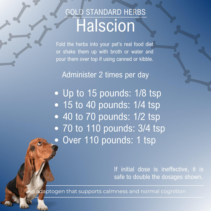Halscion Cognitive Support and Stress Relief for Dogs by Gold Standard Herbs, All Natural Rehmannia Combination, 85 gram Powder, White Small - PawsPlanet Australia