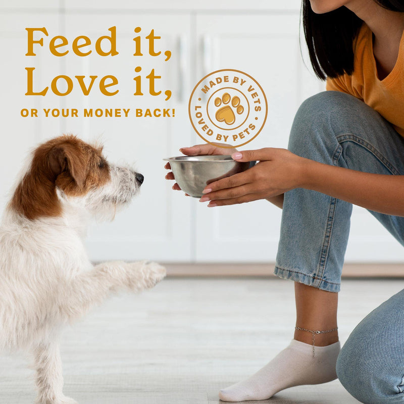 The Missing Link Skin & Coat + Probiotics Supplement 1lb Bag 2/Pack - Powerful Superfood Powder for Dogs Supports Healthy Skin & Glossy Coat, Promotes Hair Growth - PawsPlanet Australia