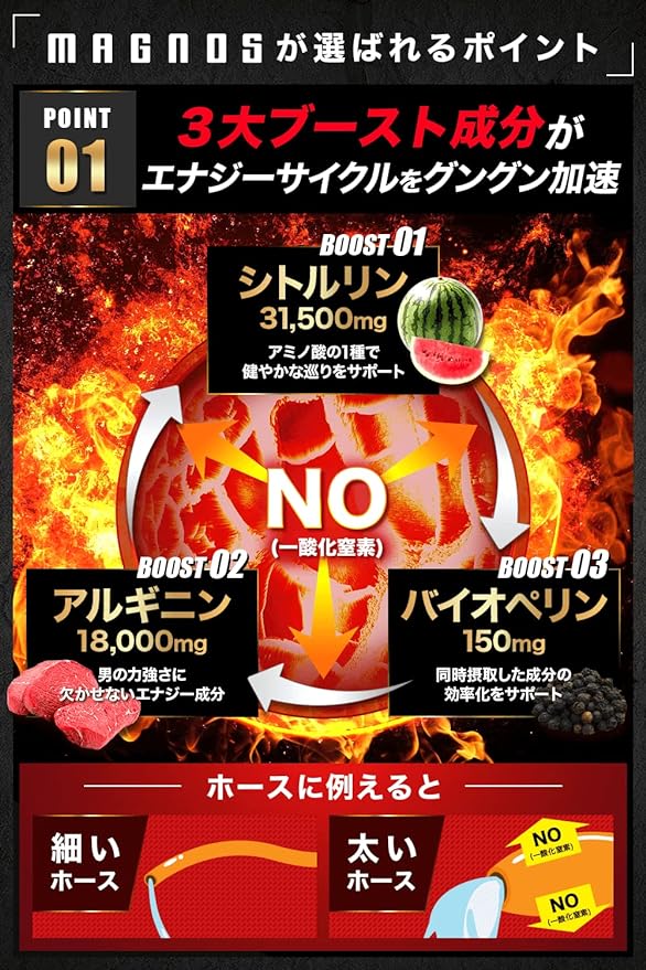 Citrulline, Arginine, Zinc, Maca, 12 carefully selected ingredients, high combination tablet, MAGNOS, nutritionally functional food, made in Japan, 30 days supply (1 piece) - BeesActive Australia
