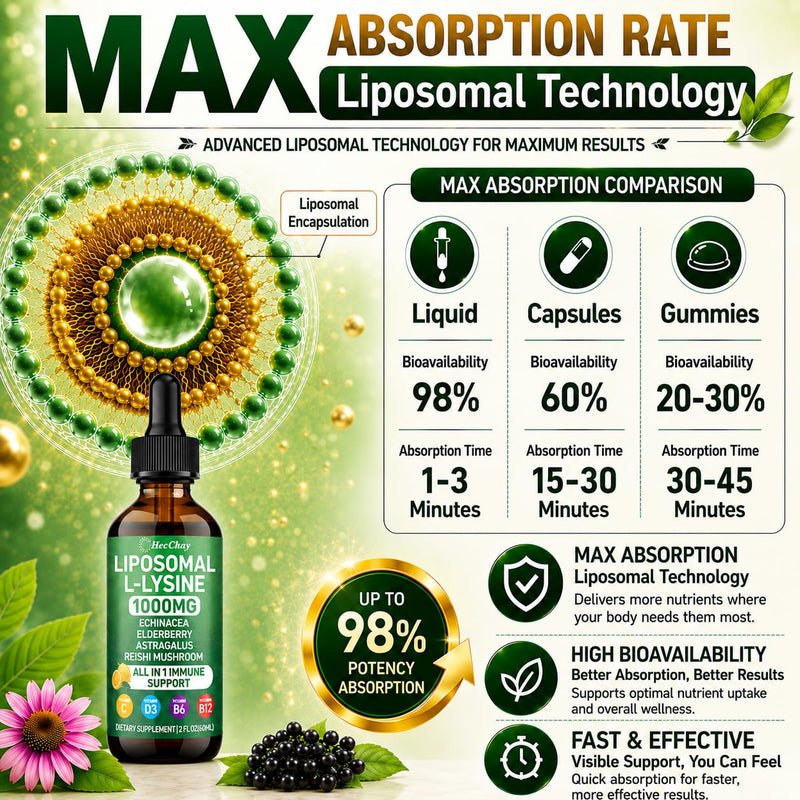 Liposomal L-Lysine Liquid Drops 1000mg with Vitamin C & Zinc, 4 Fl Oz | Essential Amino Acid Lysine with Echinacea, Elderberry, Vitamin C, D3 & Zinc for collagen, Lip, Skin & immune, kids & adults 2 Fl Oz (Pack of 2)